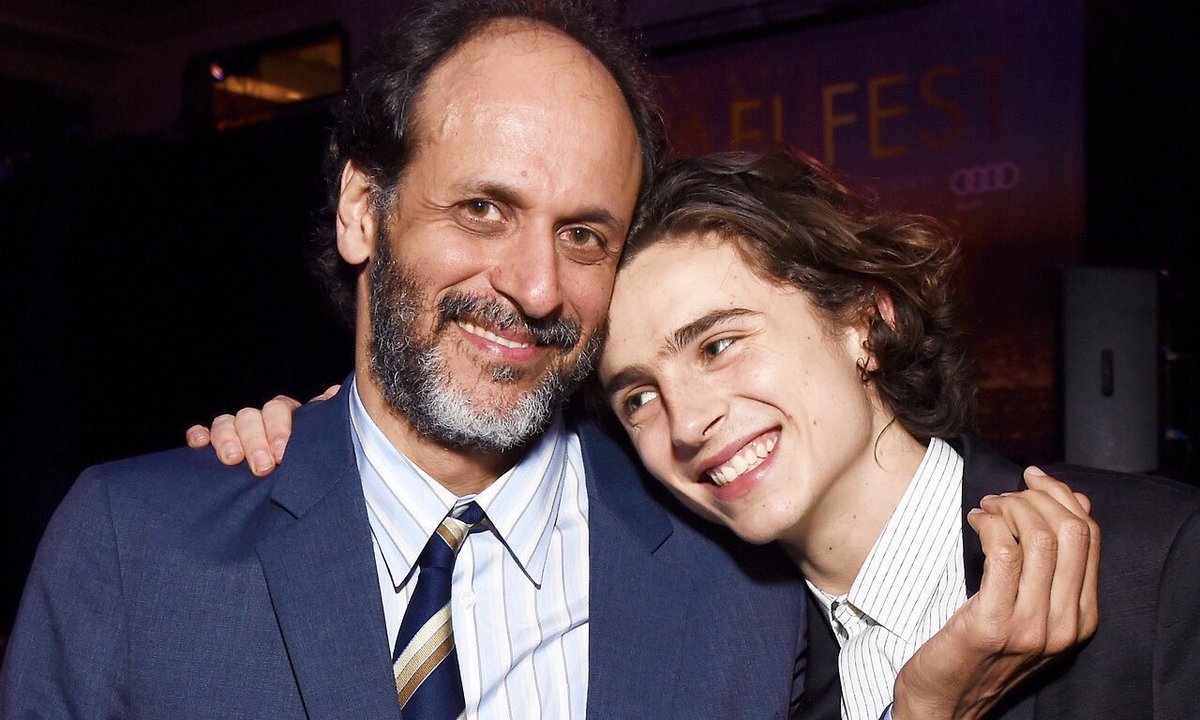 Timothée Chalamet, Luca Guadagnino